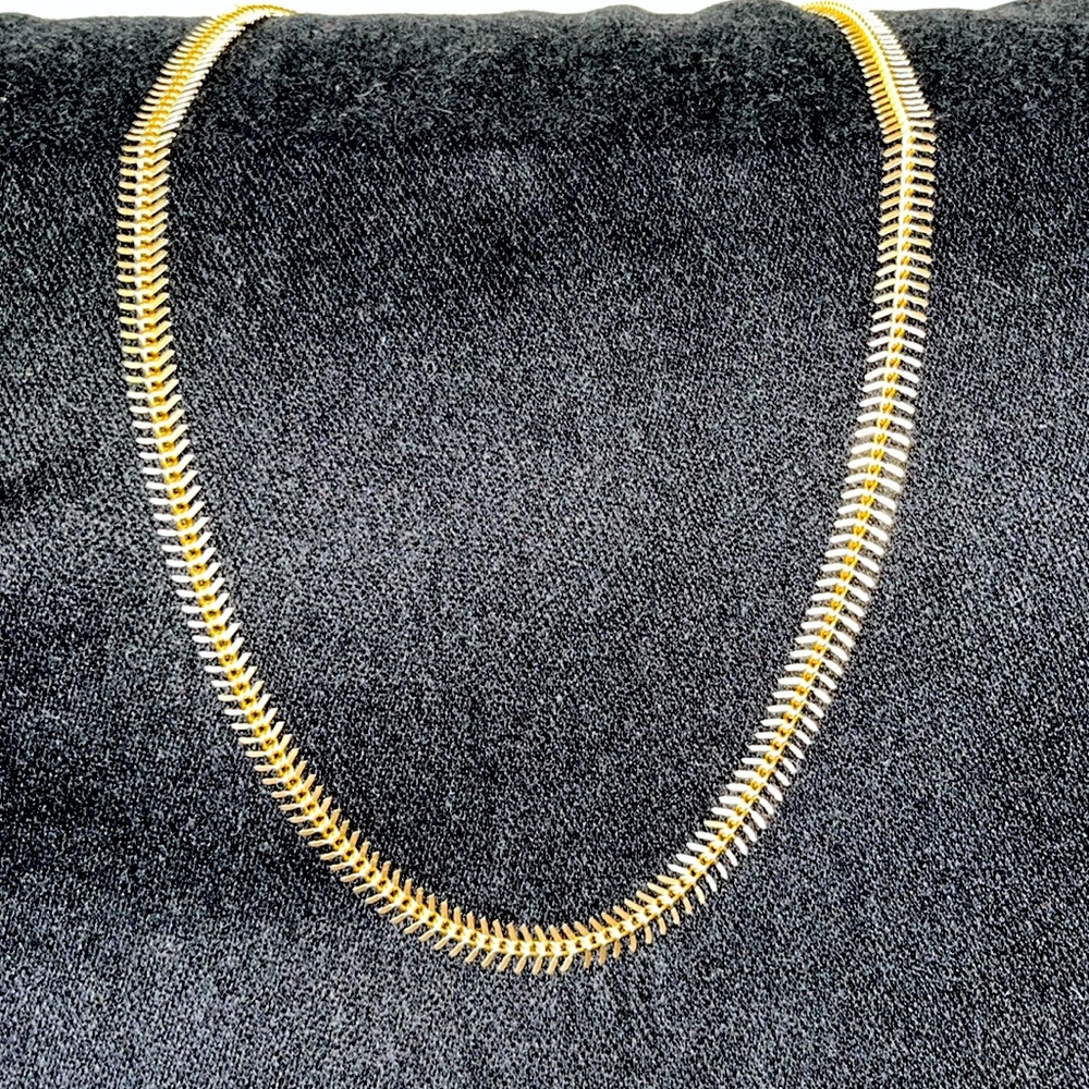 Gold toothed long necklacee